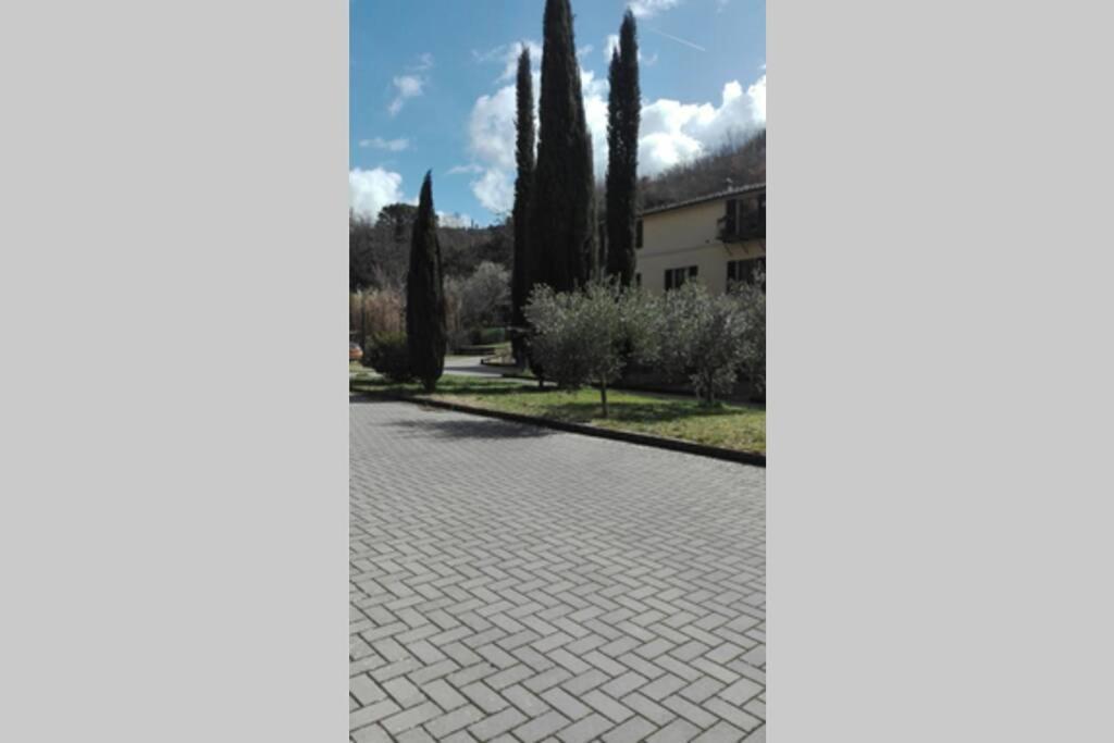 시에나 Casazappa - In Centro A Piedi, Parcheggio E Giardino Privato 아파트 외부 사진